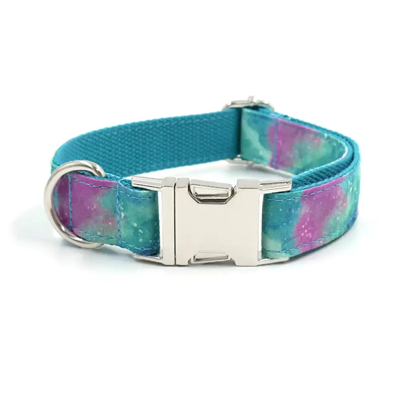 Durable Dog Collar with Traction Belt