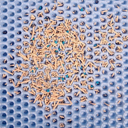 Waterproof Double Layer Cat Litter Mat Non-Slip Scratch Pad