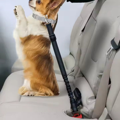 Adjustable Heavy Duty Dog Car Seat Belt with Striped Nylon Design