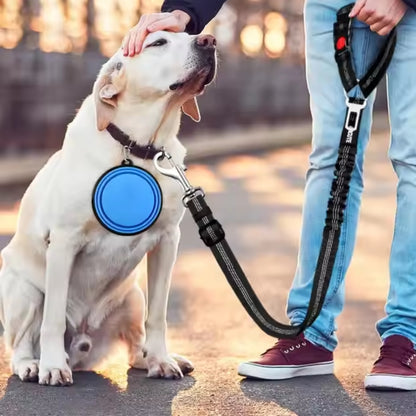 Adjustable Heavy Duty Dog Car Seat Belt with Striped Nylon Design