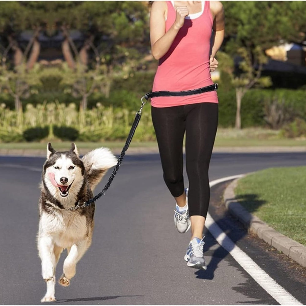 Adjustable Heavy Duty Dog Car Seat Belt with Striped Nylon Design