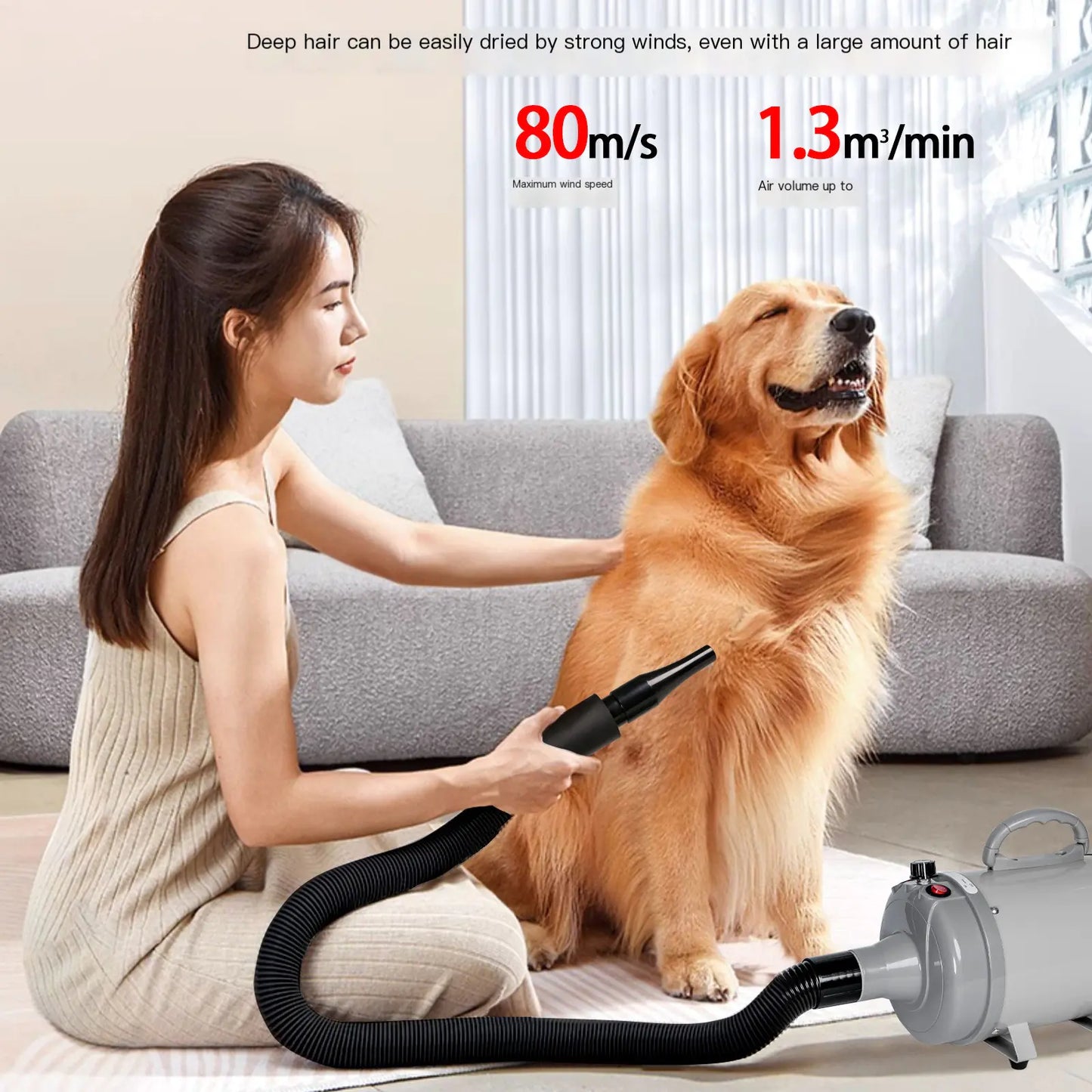 High-Power Pet Blow Dryer for Large Dogs